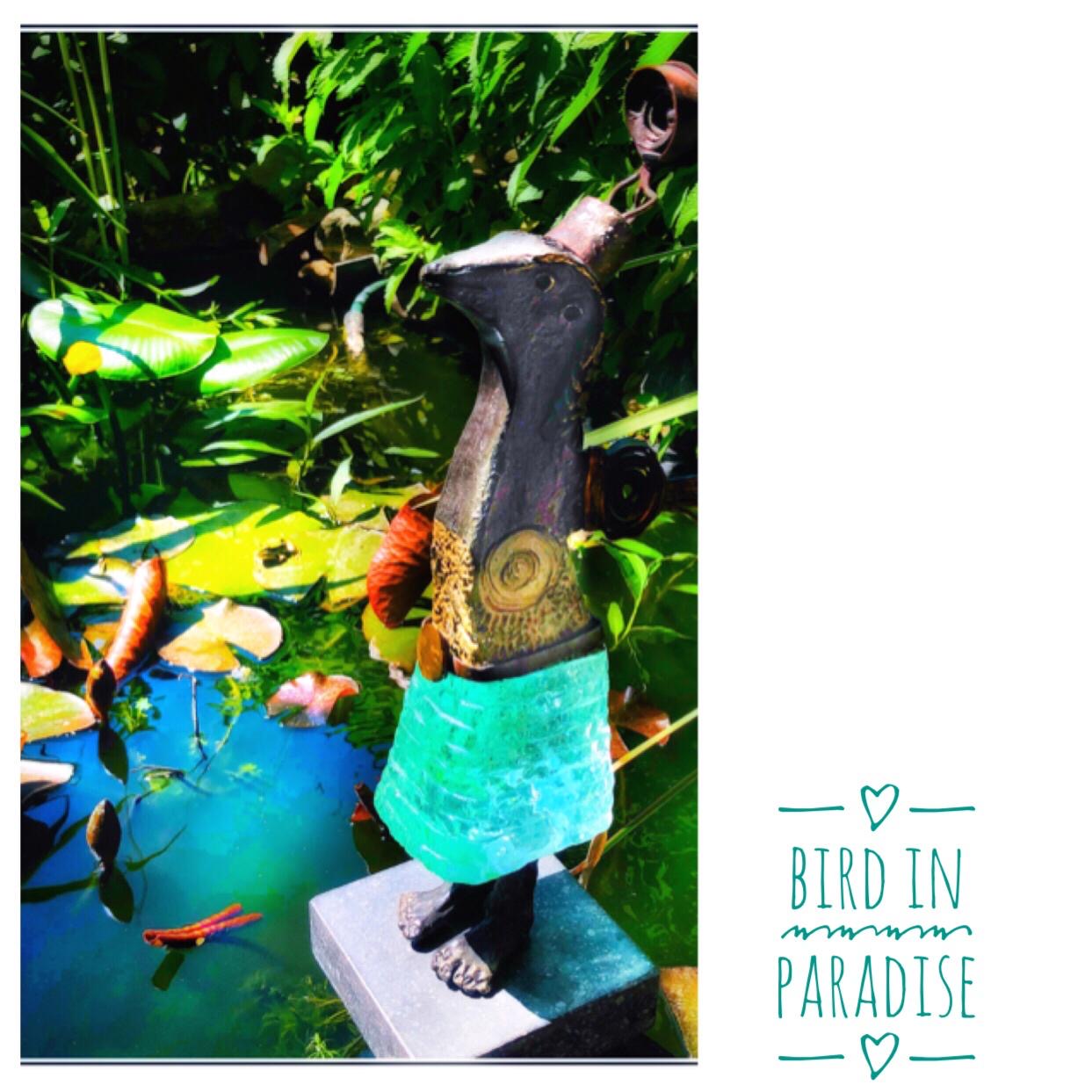 Astrid Roox foto Bird in Paradise in onze tuin en vijver